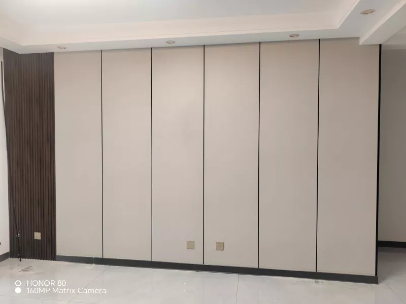 Solid Wood Particle Wallboard