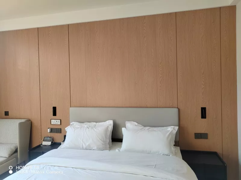 Solid Wood Particle Wallboard